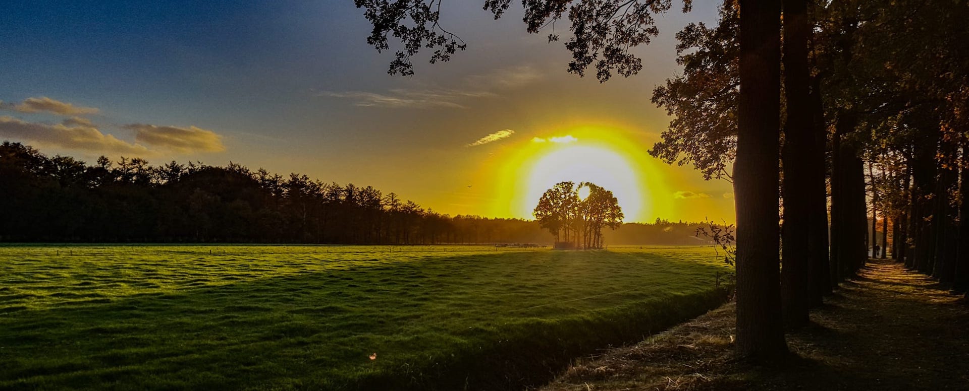 Zonsopgang boven een Nederlands landschap